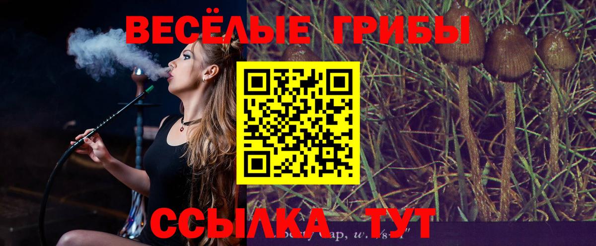 Чебоксары  Псилоцибиновые грибы Psilocybe  Вход с VPN 